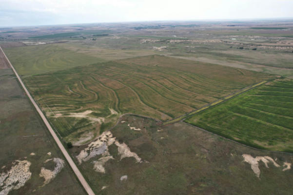 0 COUNTY RD 80, QUINTER, KS 67752 - Image 1